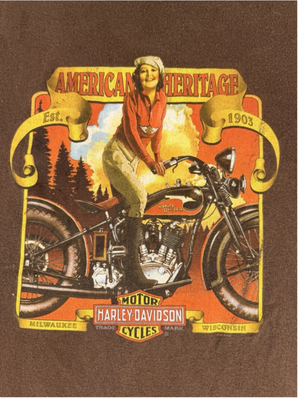 Harley Davidson Eastside‎ Bellevue WA T Shirt Brown Graphic Biker Tee L